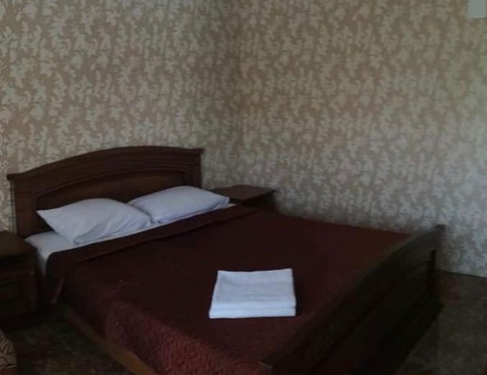 Стандарт 2-местный 1-комнатный стандарт - Отель «Династия» Гагра